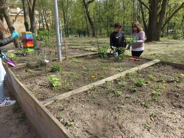 zwei Kinder pflanzen eine Pflanze ein