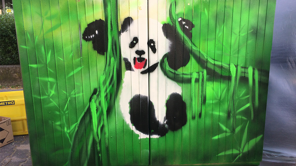 Motiv Panda